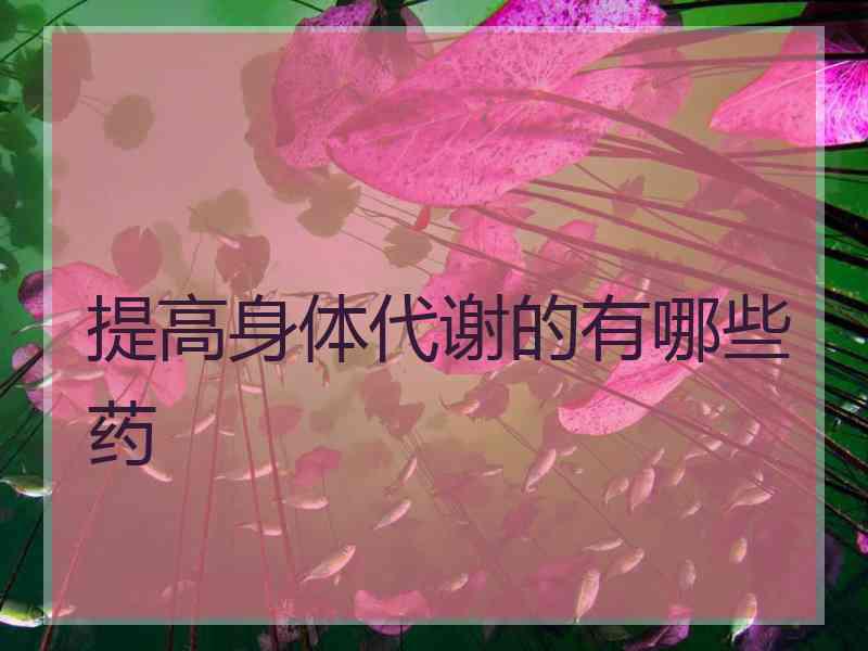 提高身体代谢的有哪些药