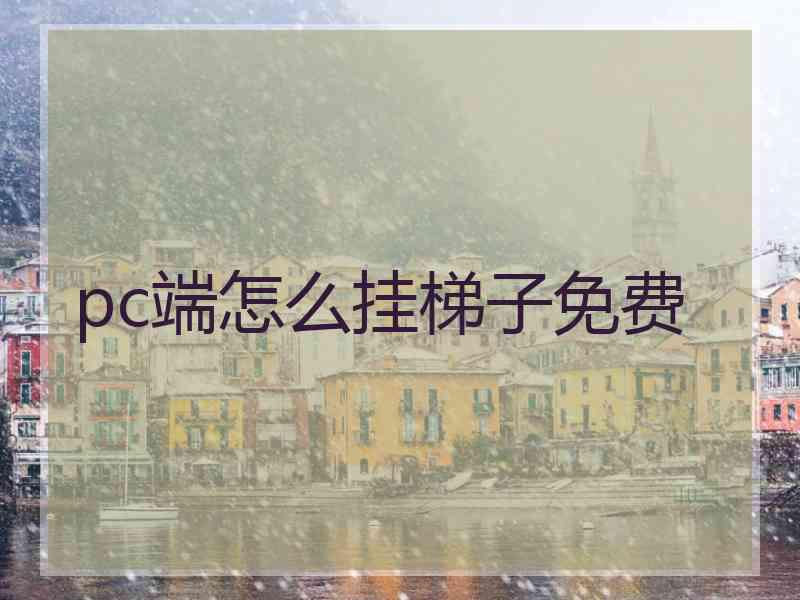pc端怎么挂梯子免费