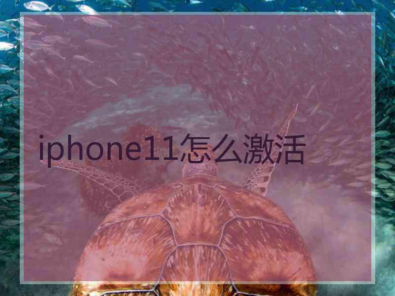 iphone11怎么激活
