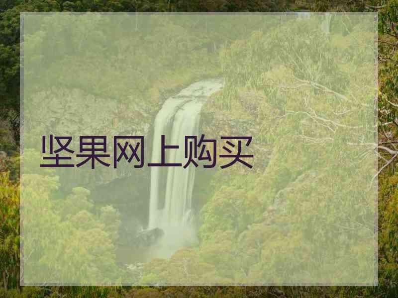 坚果网上购买