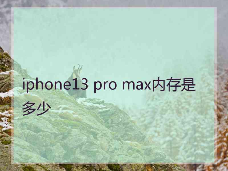 iphone13 pro max内存是多少