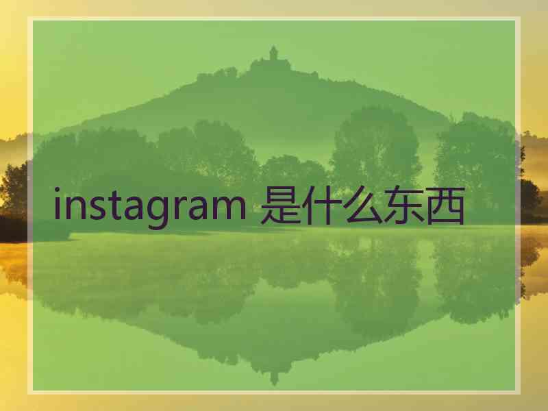 instagram 是什么东西