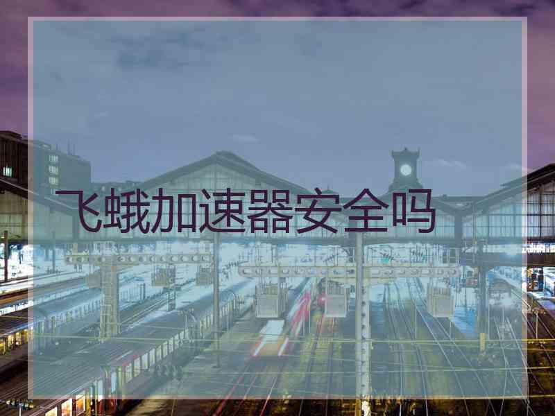 飞蛾加速器安全吗