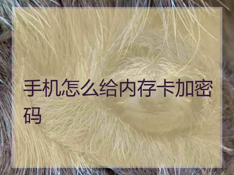 手机怎么给内存卡加密码