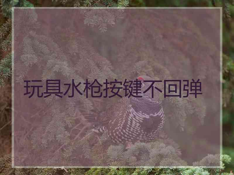 玩具水枪按键不回弹
