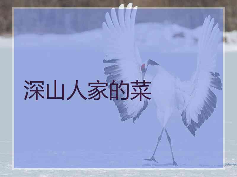 深山人家的菜