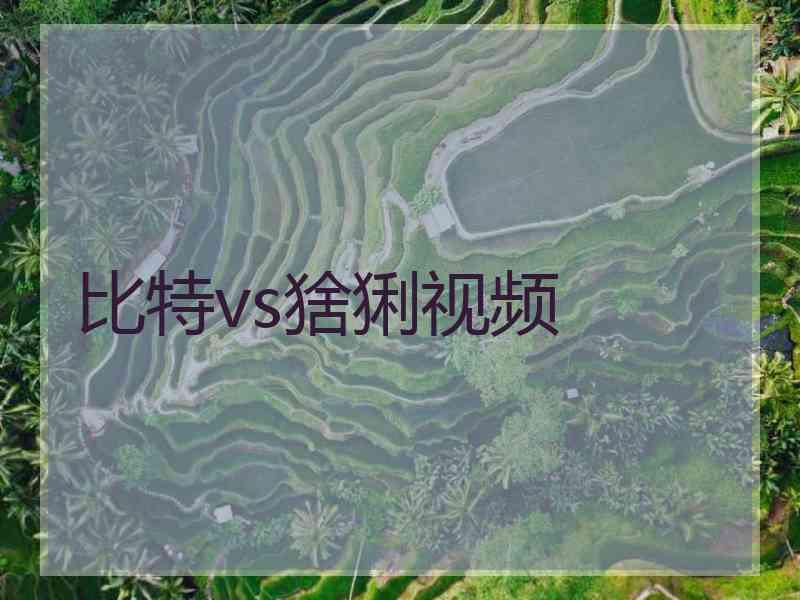 比特vs猞猁视频