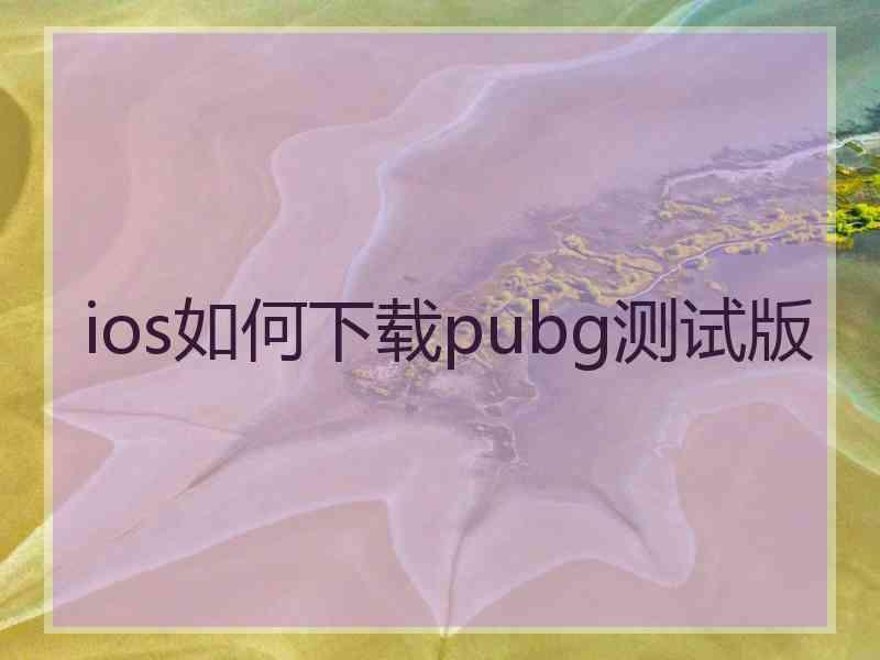 ios如何下载pubg测试版