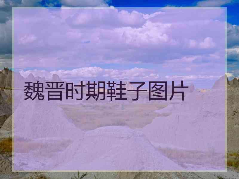 魏晋时期鞋子图片