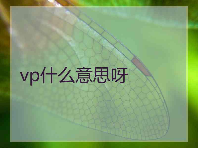 vp什么意思呀