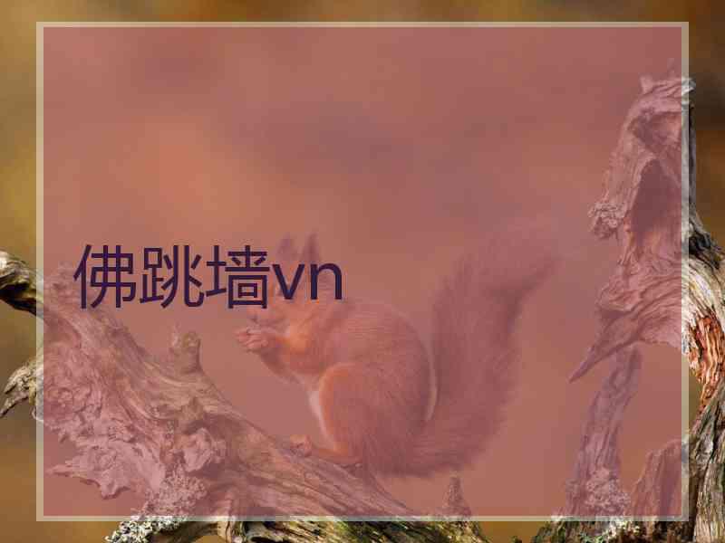 佛跳墙vn