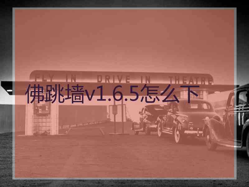 佛跳墙v1.6.5怎么下