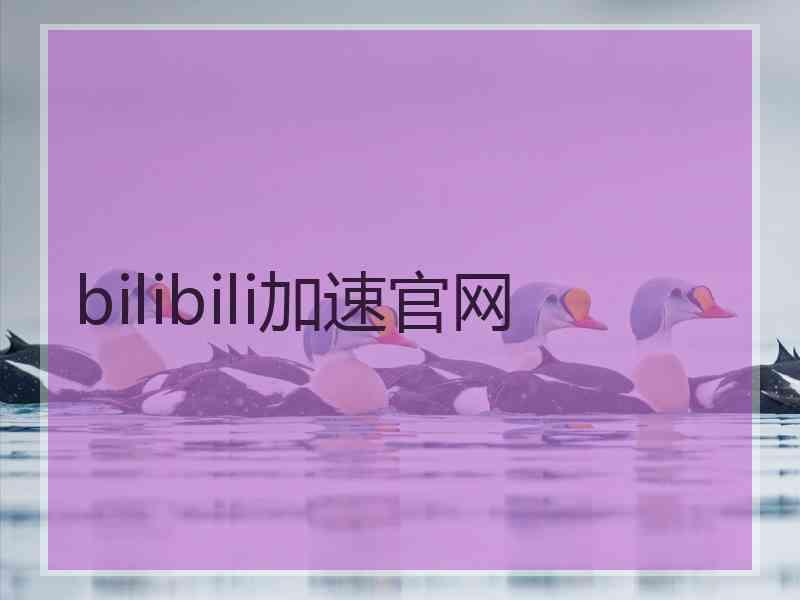 bilibili加速官网