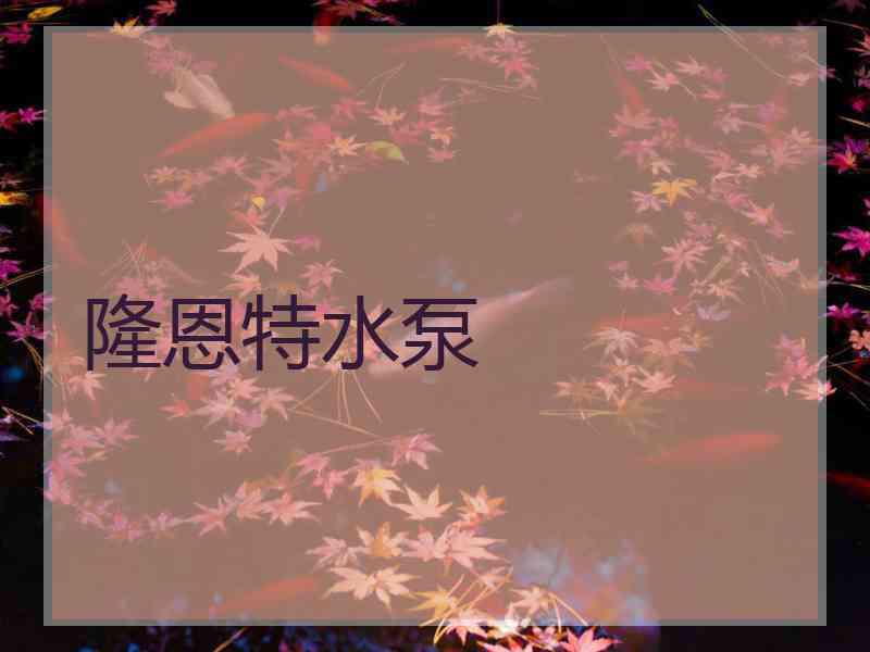 隆恩特水泵
