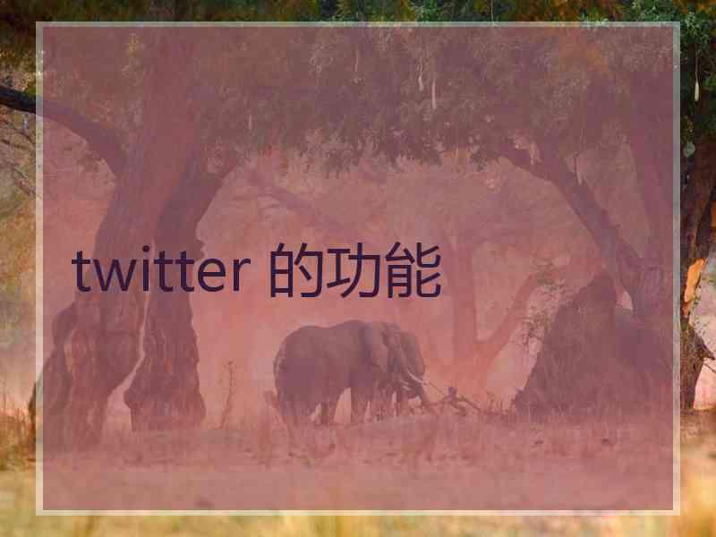 twitter 的功能