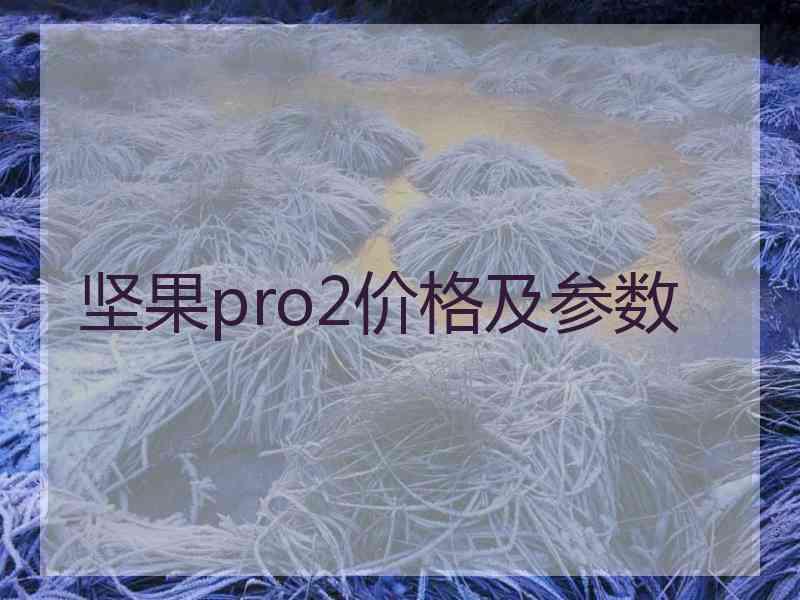 坚果pro2价格及参数
