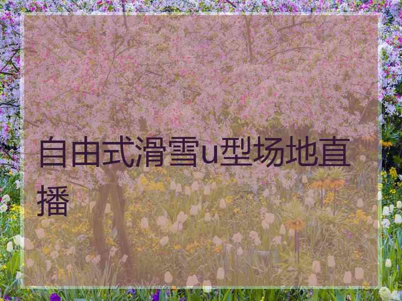 自由式滑雪u型场地直播