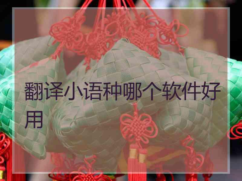 翻译小语种哪个软件好用