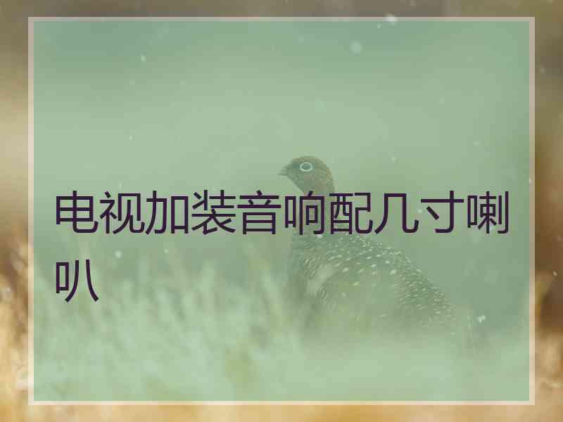 电视加装音响配几寸喇叭