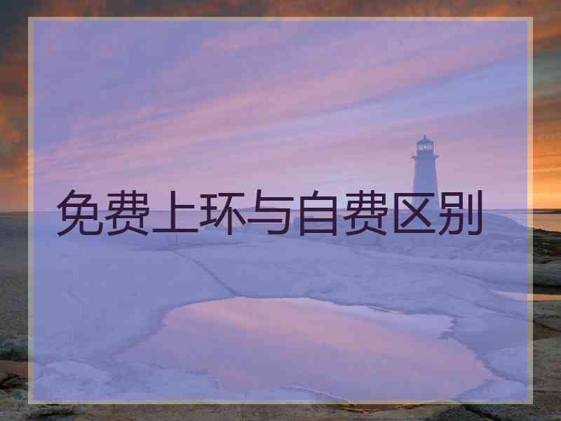 免费上环与自费区别