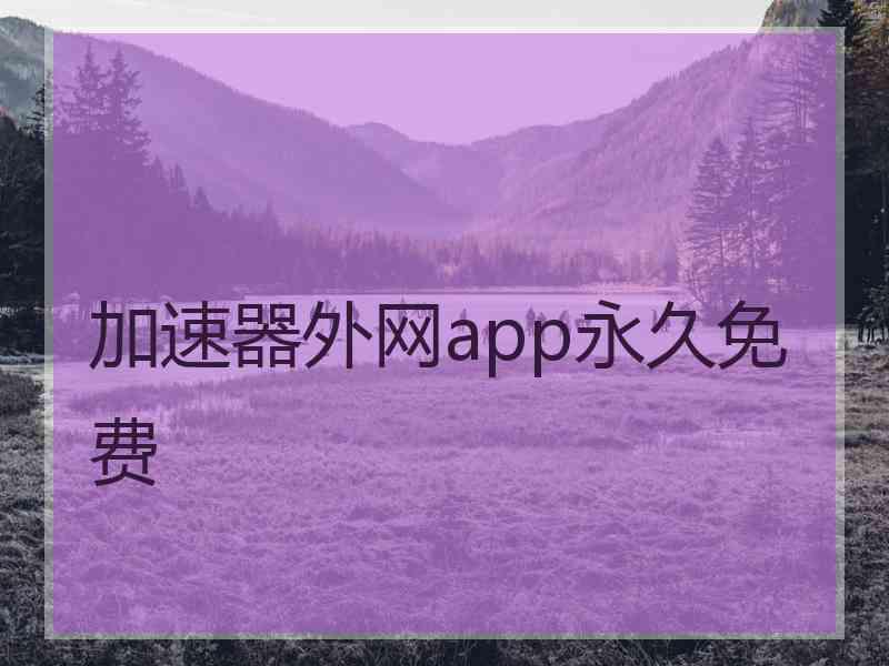 加速器外网app永久免费
