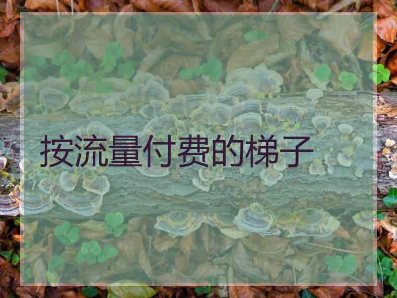 按流量付费的梯子
