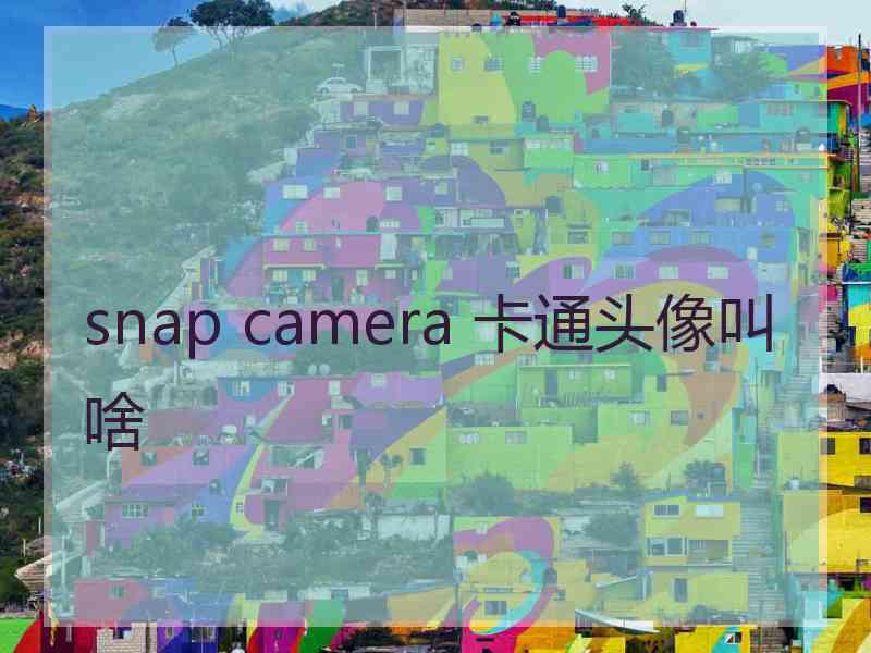 snap camera 卡通头像叫啥