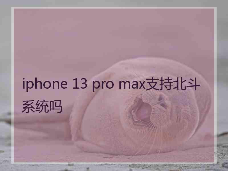 iphone 13 pro max支持北斗系统吗