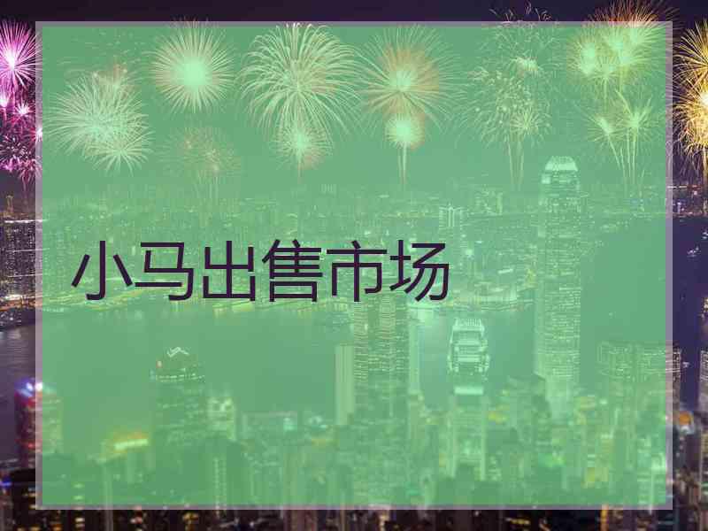 小马出售市场