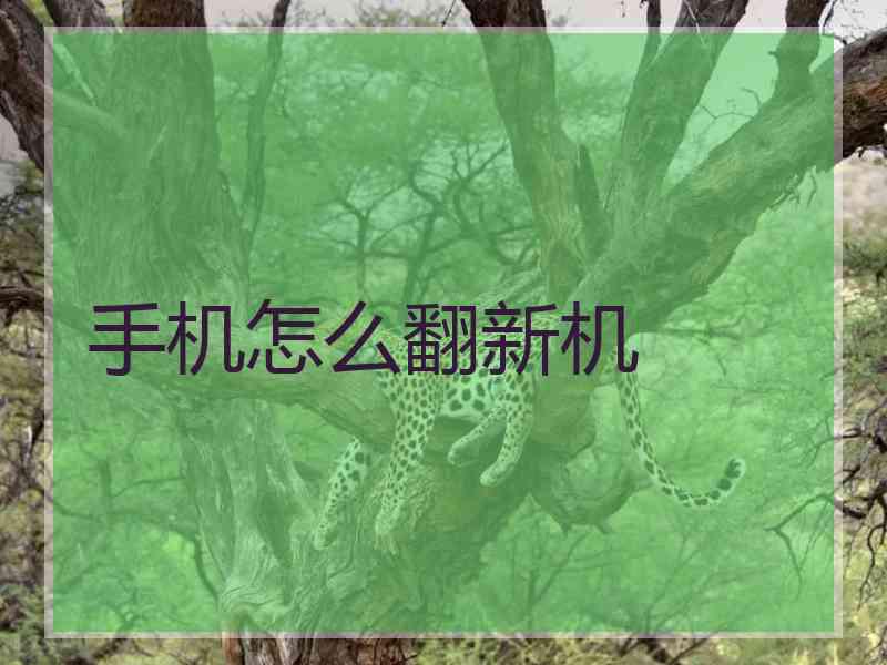 手机怎么翻新机