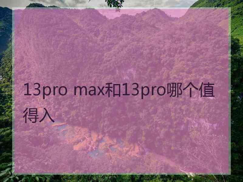 13pro max和13pro哪个值得入