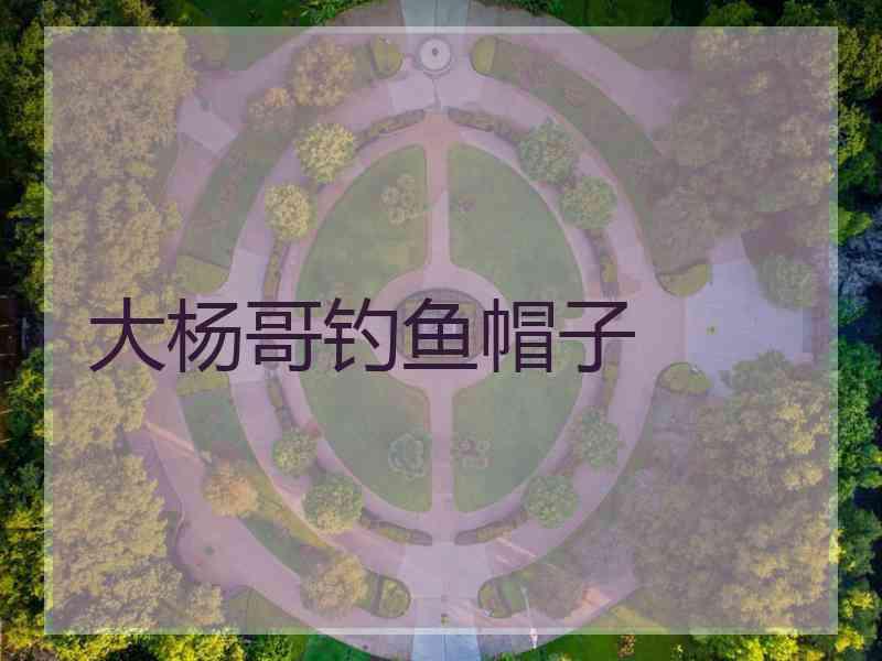 大杨哥钓鱼帽子