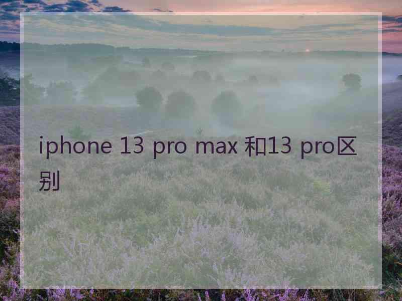 iphone 13 pro max 和13 pro区别