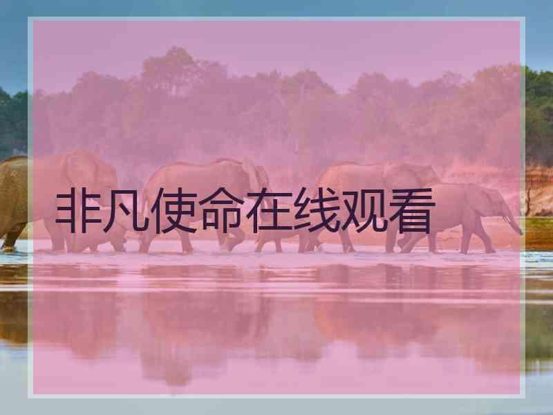 非凡使命在线观看