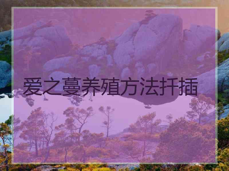 爱之蔓养殖方法扦插
