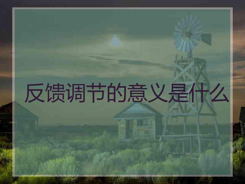 反馈调节的意义是什么