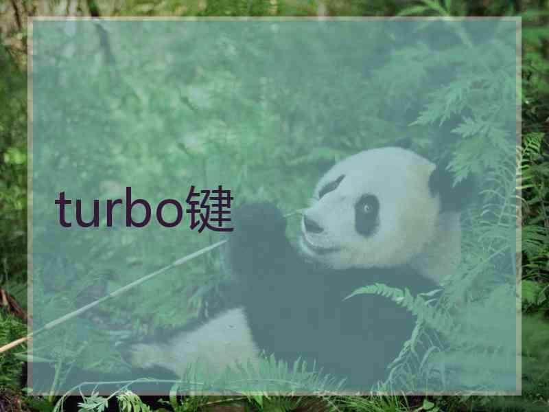 turbo键