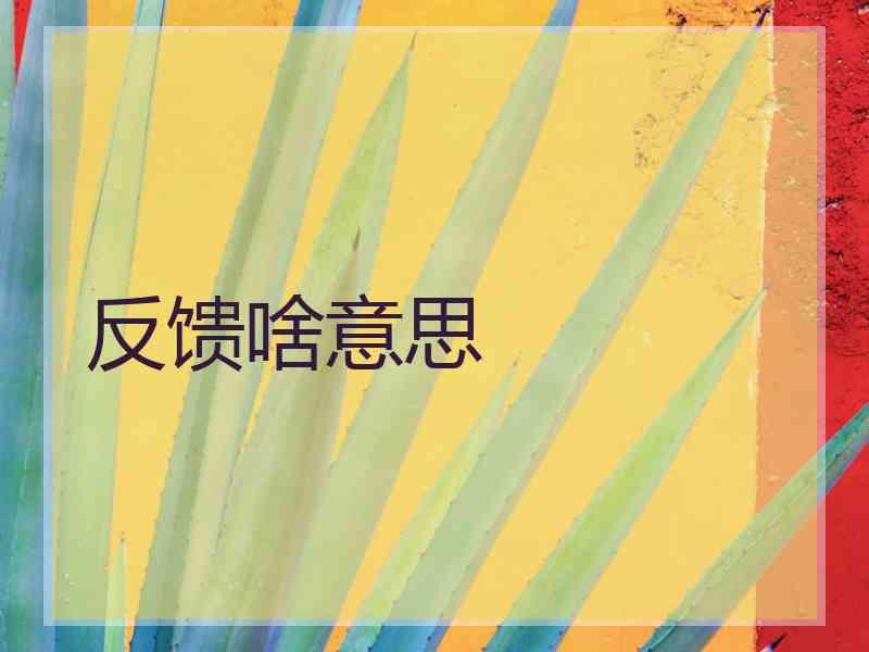 反馈啥意思