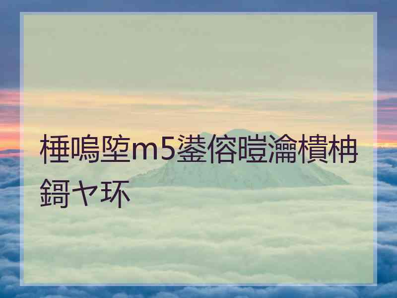 棰嗚埅m5鍙傛暟瀹樻柟鎶ヤ环