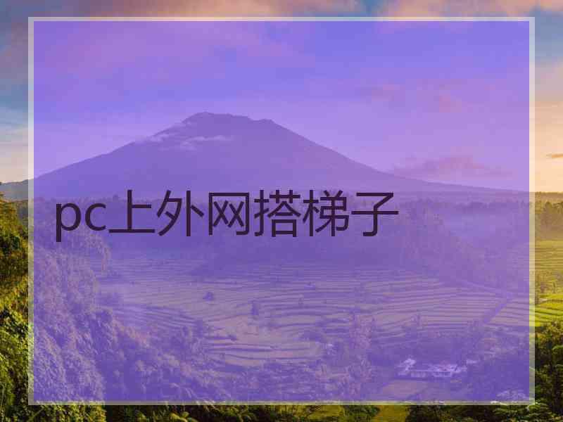 pc上外网搭梯子