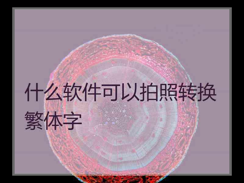 什么软件可以拍照转换繁体字
