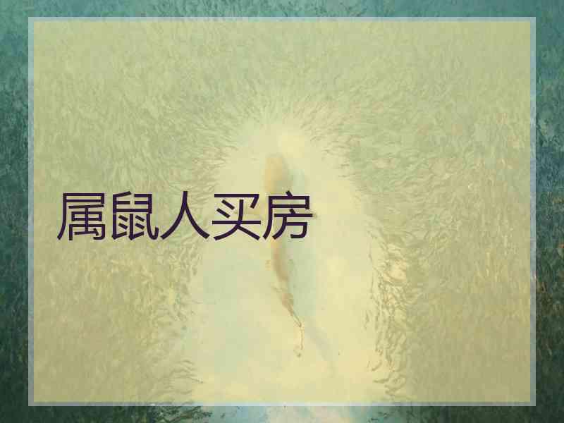 属鼠人买房