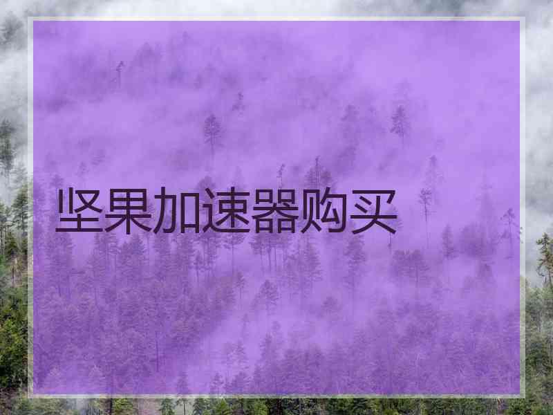 坚果加速器购买
