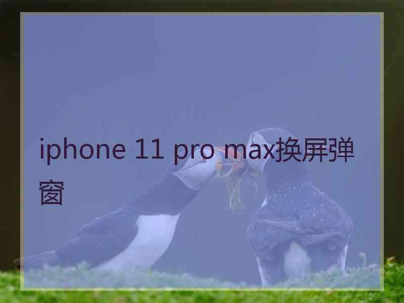iphone 11 pro max换屏弹窗