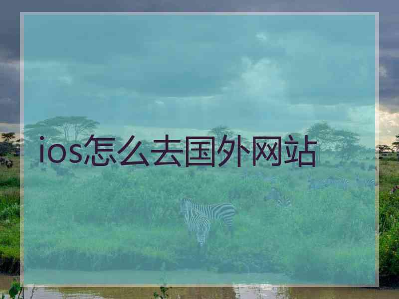 ios怎么去国外网站