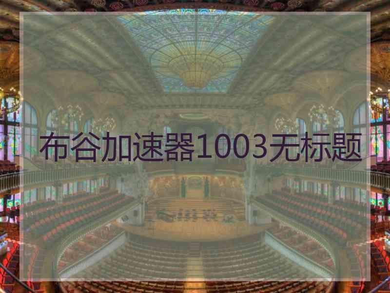 布谷加速器1003无标题