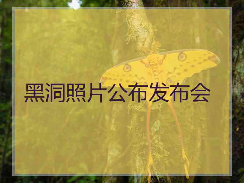 黑洞照片公布发布会