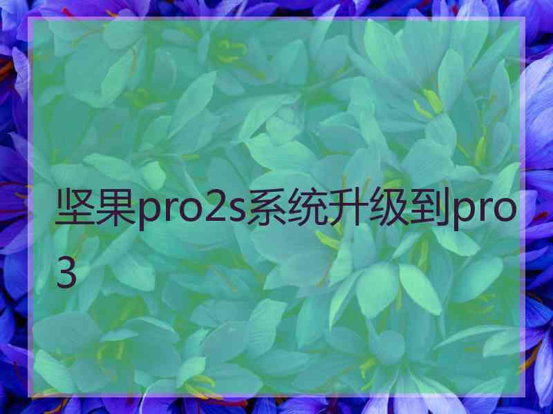 坚果pro2s系统升级到pro3