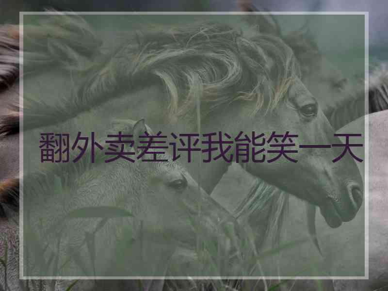 翻外卖差评我能笑一天