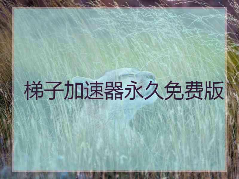 梯子加速器永久免费版